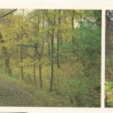 In the park