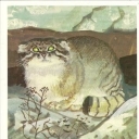 Pallas
