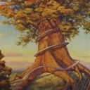 Rootbound Crag