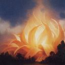 Sunpetal Grove