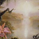 Swamp