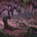 Swamp