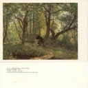 Shishkin, 