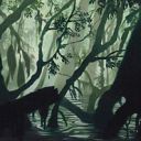 Swamp