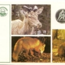 Protection of wild animals
