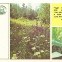 Protection of wild plants