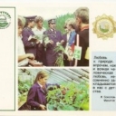 Nature - the care of young