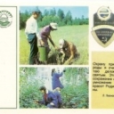 The Nature Conservancy - national task