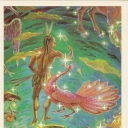 The constellations - Octane, South Hydra, Bird of Paradise,