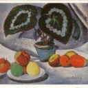 I. Mashkov 
