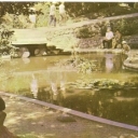 Nikitsky Botanical Garden. The pool at the seaside park