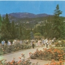 Nikitsky Botanical Garden. Rosary in the upper park