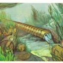 Marine animals Silurian