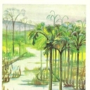Devonian period of the Paleozoic era - the landscape