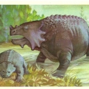 Skutozavr