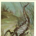 Merostomes