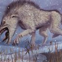 Tundra Wolves