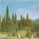Crimea. Nikitsky Botanical Garden. The pool at the Upper Par