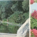 Crimea. Nikitsky Botanical Garden. Pool water Exotics, Upper