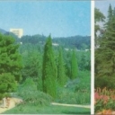 Crimea. Nikitsky Botanical Garden. Montedor Park, Himalayan