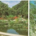 Crimea. Nikitsky Botanical Garden. Pool in the Lower Park, s