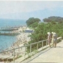 Crimea. Nikitsky Botanical Garden. Corner of Seaside Park