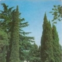 Crimea. Nikitsky Botanical Garden. Entrance to the Lower Par