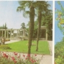 Crimea. Nikitsky Botanical Garden. Parterre garden, pomegran