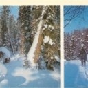 Barguzinsky Reserve - Winter Forest