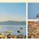 Barguzinsky Reserve - Shore of Lake Baikal
