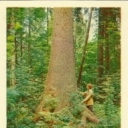 Central Forest reserve - In the backwoods
