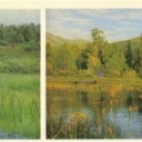 Barguzinsky Reserve - South cordon