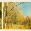 Central Forest reserve - Meeting in the woods