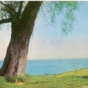 Pereslavl-Zalessky. View of the Lake Pleshcheyevo.