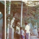 Alupka. In the Winter Garden. Shuvalov fare.