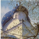 Suzdal. Head of the Nativity Cathedral.