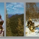 Primorye. In the mountains of Sikhote-Alin.