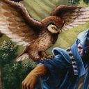 Sage Owl
