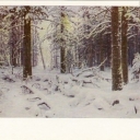 Shishkin, 