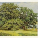 Shishkin, 