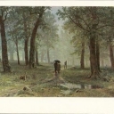 Shishkin, 