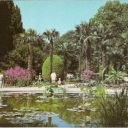 Yalta. State Nikitsky botanical garden.