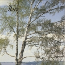 Plyos. View of the Volga