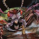 Plague Beetle