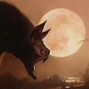 Vampire Bats