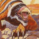 Rock Badger