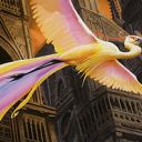 Birds of Paradise