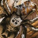 Giant Spider