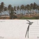 Playa en el Lago de Maracaibo