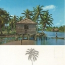 Viviendas Indígenas - Laguna de Sinamaica